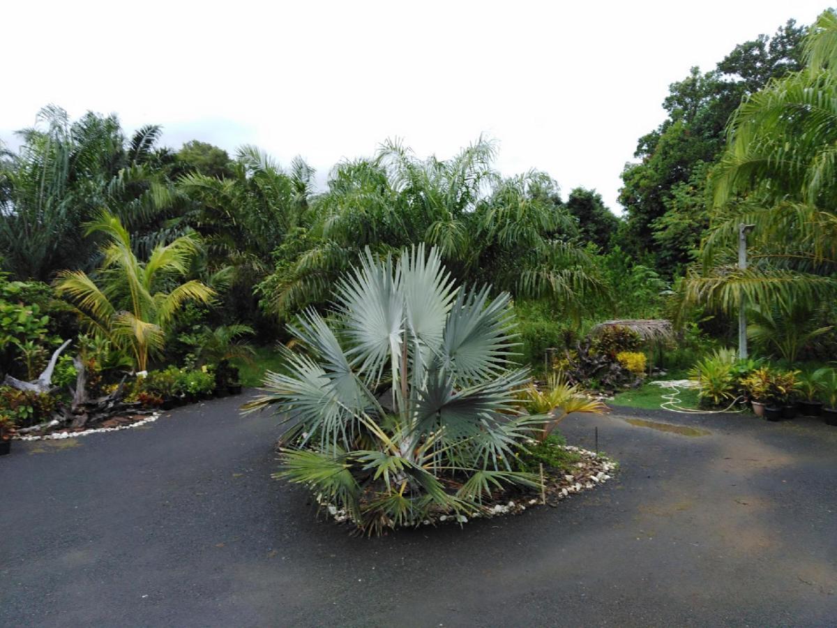Krasom Homestay Phang Nga Exteriör bild