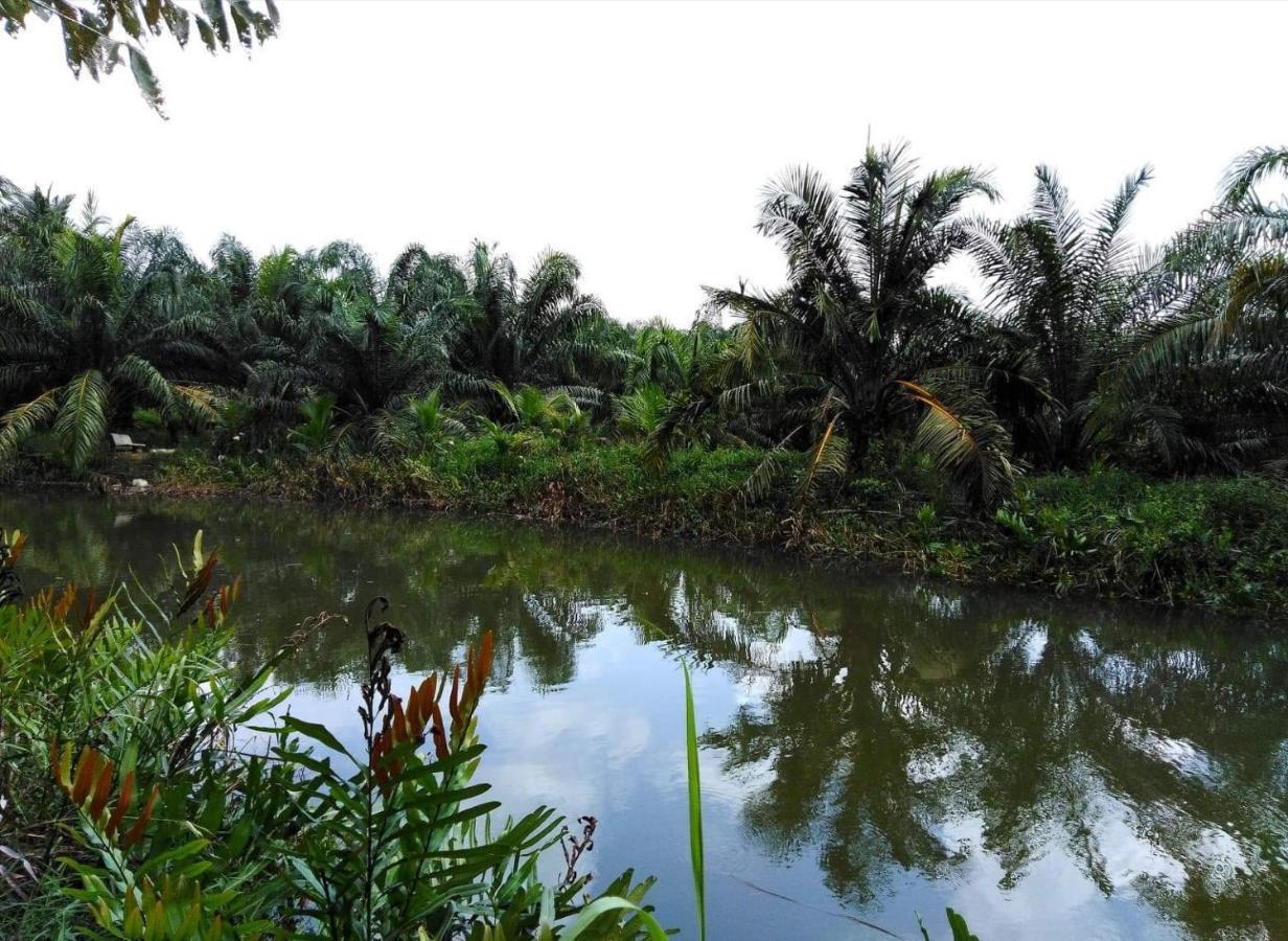 Krasom Homestay Phang Nga Exteriör bild