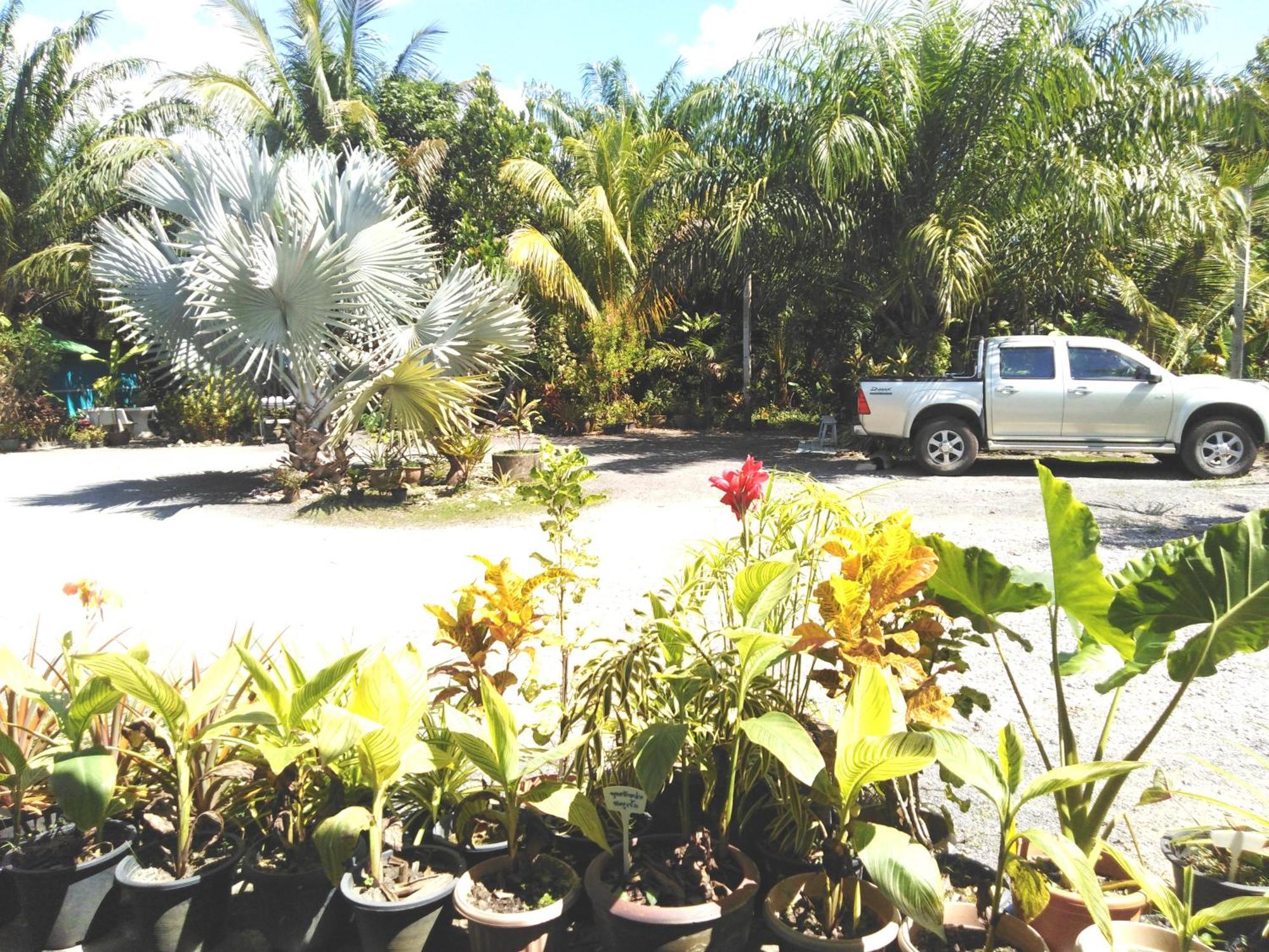 Krasom Homestay Phang Nga Rum bild